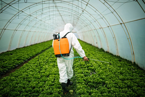Best Residential Pest Control  in Palmetto Bay, FL