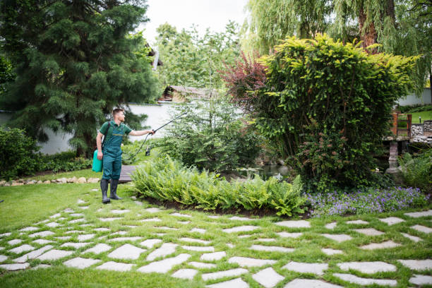 Best Residential Pest Control  in Palmetto Bay, FL