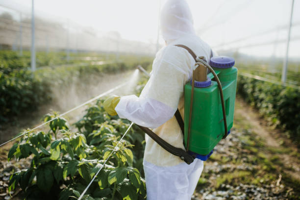 Best Local Pest Control Services  in Palmetto Bay, FL